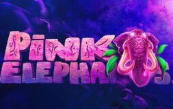 Играть в Pink Elephant